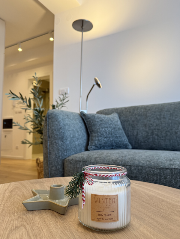 Slika 5 - U blizini centra, Crvenog Pevca i Čaira, Jednoiposoban stan za izdavanje, 52m2, 550€